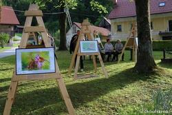 8. Križnikov pravljični festival Jenkret je biv ... 5